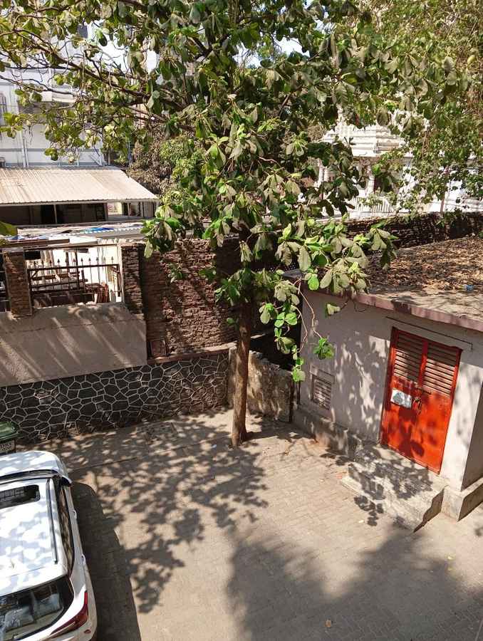 Realme C65 5G Camera Test Camera Samples
