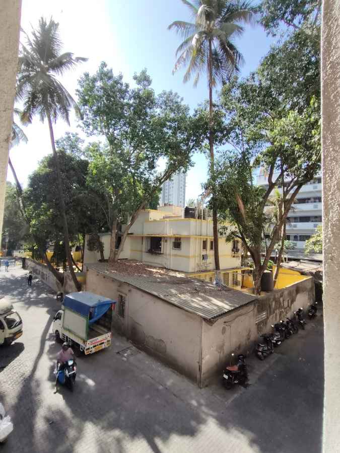 Vivo V30e Camera test camera samples